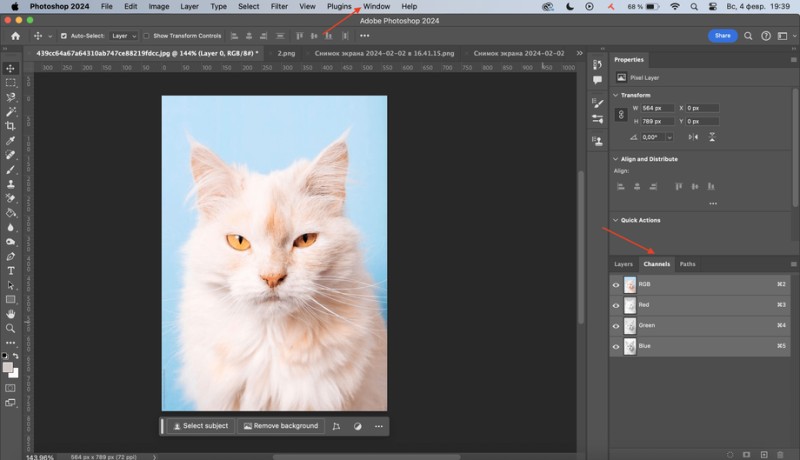 Как изменить фон картинки в Adobe Photoshop