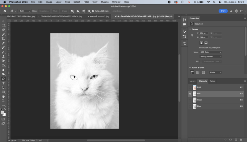 Как изменить фон картинки в Adobe Photoshop