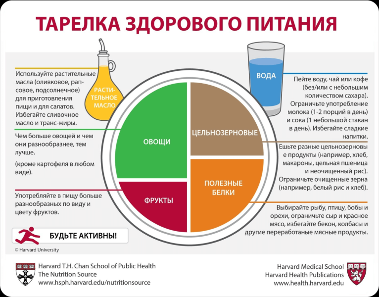 Кто такой нутрициолог, чем он занимается и сколько зарабатывает