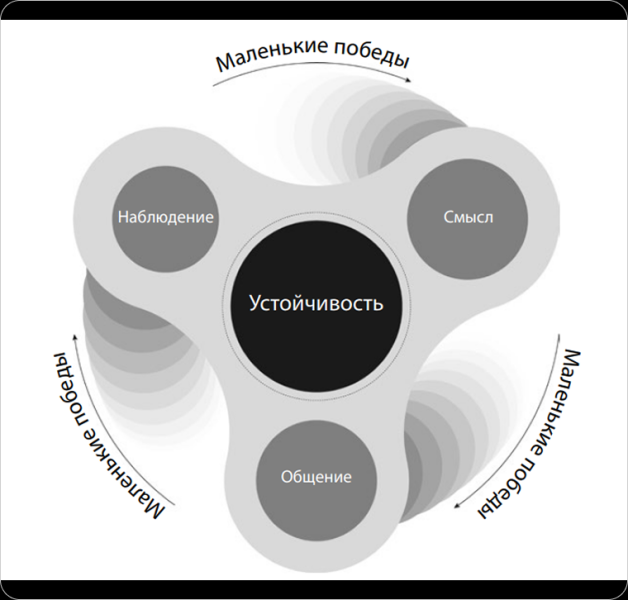 Эмоциональная устойчивость: как сохранять спокойствие в любых ситуациях. Конспект книги «Психологический интеллект»