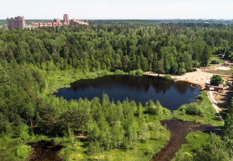 Где можно купаться в Москве в 2025 году: обзор пляжей
