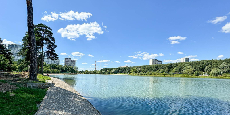 Где можно купаться в Москве в 2025 году: обзор пляжей