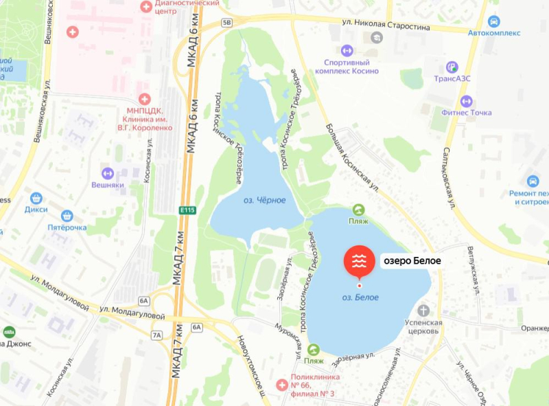 Где можно купаться в Москве в 2025 году: обзор пляжей