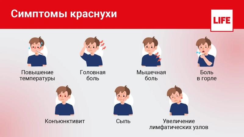 Краснуха: описание, симптомы краснухи, чем опасна, как защититься